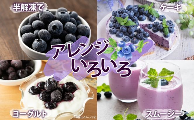 北海道産 ブルーベリー 100g 7袋 果物 果実 くだもの 冷凍食品 おやつ デザート ジュース ヨーグルト ジャム スイーツ 簡単 便利 一人暮らし 小分け 製菓 送料無料 冷凍 北海道 洞爺湖町