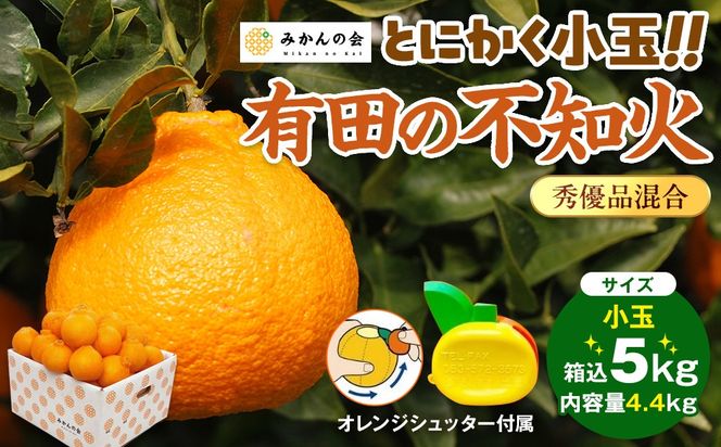 不知火 とにかく 小玉 箱込 5kg(内容量約 4.4kg) 秀優品混合 和歌山県産 産地直送［みかんの会］ 	AX141