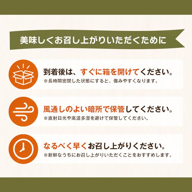 淡路島玉葱 10kg 【栽培期間中、無農薬栽培】サイズ混合SS～2L 玉ねぎ