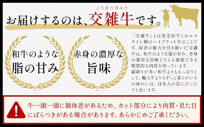 岡山県産牛 ステーキ サーロイン or リブ 交雑牛 選べる 250g 500g 1kg お試し 大容量《60日以内に出荷予定(土日祝除く)》 岡山県 笠岡市 肉 ステーキ 高級部位 希少部位 グルメ お取り寄せグルメ---kasaoka_zsy_287_25---