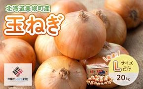 【令和8年産 先行予約】玉ねぎLサイズ・20kg（2026年10月上旬より順次発送） BHRG130