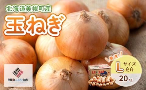 【令和8年産 先行予約】玉ねぎLサイズ・20kg（2026年10月上旬より順次発送） BHRG130