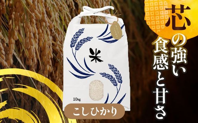 令和6年産　愛知県産　コシヒカリ・にこまる　白米　各10kg　特別栽培米　お米　ご飯　愛西市／戸典オペレーター　[AECT012]