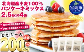 北海道パンケーキミックス 10kg MROBI008