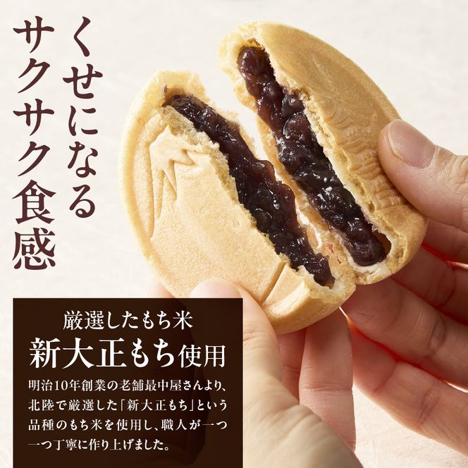富士山最中セット　あんこ 最中 こしあん つぶあん 和菓子 小豆 老舗 倉沢製あん所 ギフト 山梨 富士吉田