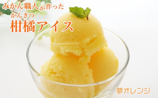 みかん職人が作った柑橘アイス1000ml×2（夢オレンジ×２）