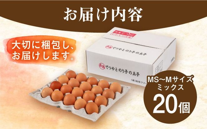 てつやとのりこの玉子 【 20個 】 糸島市 / 板垣ファーム 卵 たまご 鶏卵[AWD015]