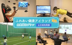 チケット ふれあい健康アイランド 全館 貸切 プラン 土日祝 利用券 健康維持 運動施設 VR 人工芝コート カラオケ 遊び 運動 施設貸切 使い放題 家族連れ ファミリー 