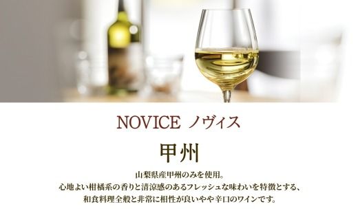 ワイン NOVICE 赤＆白 飲み比べ セット 720ml 各1本 計2本  フルボトル 甲州 マスカット ベーリーA ミディアム 辛口 日川中央葡萄酒 山梨県 笛吹市 177-7-20