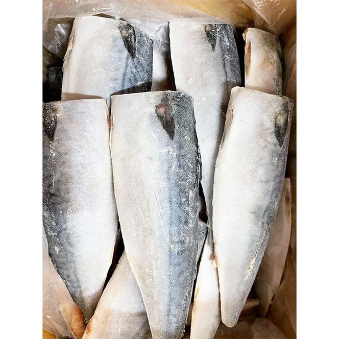 〈毎月定期便〉【ご家庭用　訳あり】塩さばフィレ3.5kg 全3回