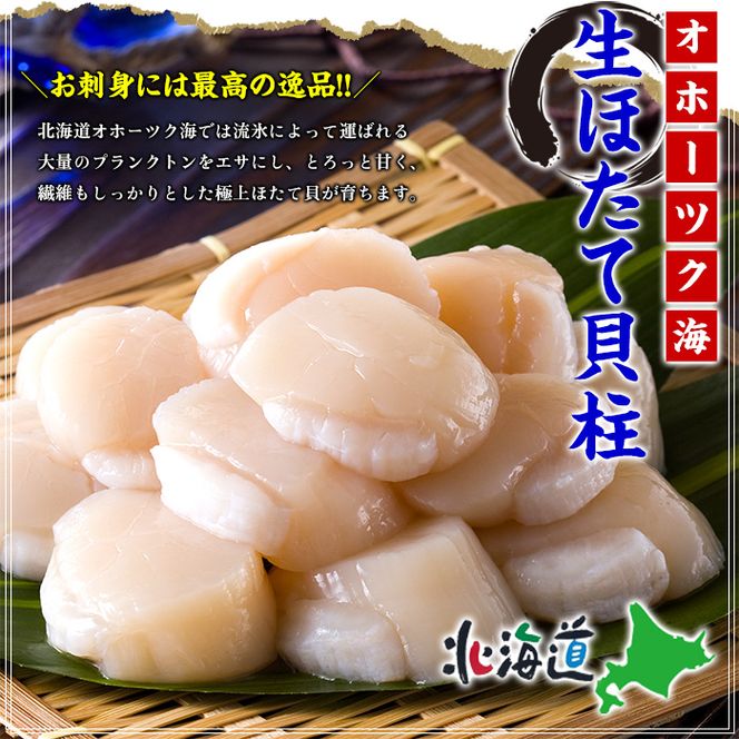 28-49 【甲羅組】ほたて貝柱 中型サイズ １ｋｇ