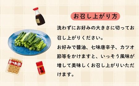 野沢菜漬　タル 1kg(Bl-001)