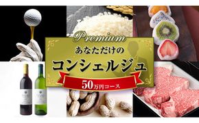 あなただけの プレミアム コンシェルジュ コース ( 50万円 ) 特別 オーダーメイド サービス [ZZ007us]