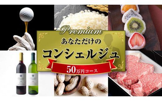 あなただけの プレミアム コンシェルジュ コース ( 50万円 ) 特別 オーダーメイド サービス [ZZ007us]