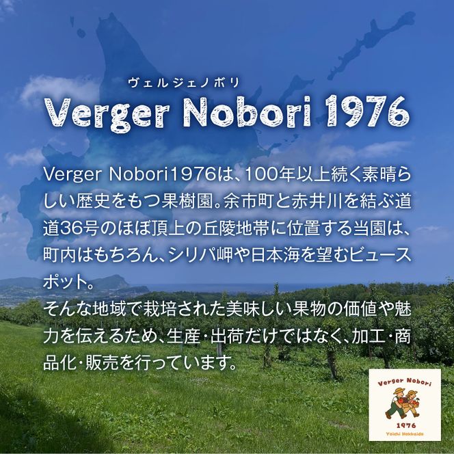 【2027年産 先行予約】＜北海道余市産＞さくらんぼ「佐藤錦」（M～2Lサイズバラ詰め）400g×2パック さくらんぼ 佐藤錦 サクランボ 人気さくらんぼ 佐藤錦 さくらんぼ_Y103-0070