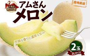 青森県産 つがりあんメロン 「アムさん」 2Lサイズ 2玉 完熟 甘い ジューシー ハウス栽培 弘果弘前中央青果 産地直送 メロン フルーツ 果物 ギフト 贈答 青森県 鶴田町