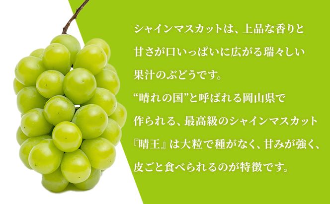 ぶどう 2026年 先行予約 晴れの国 岡山の シャイン マスカット 晴王 定期便 2回（各1房600g以上） 葡萄  岡山県産 国産 フルーツ 果物 ギフト 