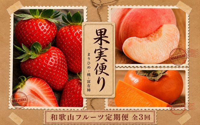 【全3回】紀州和歌山産旬のフルーツ定期便 (いちご・桃・富有柿) 【tkb373】