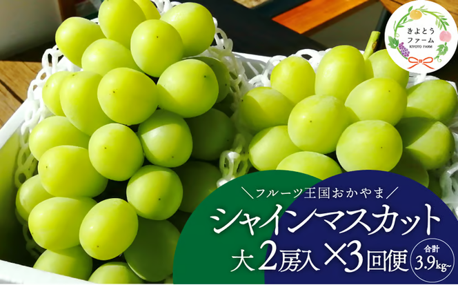 【2026年先行予約】岡山のシャインマスカットを楽しむ満足３回便！特大２房×3回/全便計3.9kg~ (定期便)(岡山県産)【KF-T045-02】