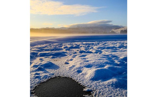 【令和7年産】定期便！魚沼産 新之助【合計30kg】10kg×3回 お米 米 こめ コメ 