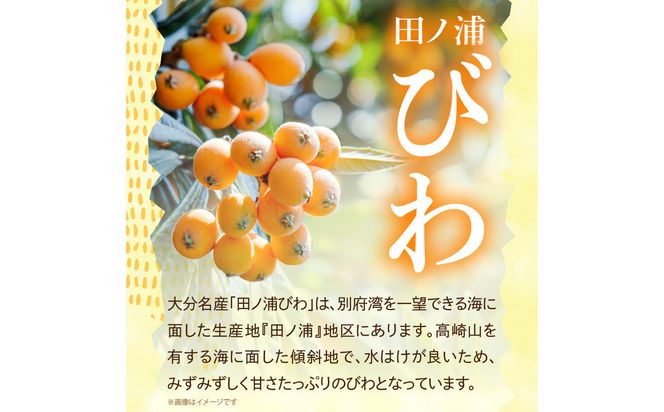 【C07014】【期間限定】田ノ浦びわ 約1.08kg（270g×4パック）