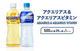 アクエリアス ビタミン アクエリアス PET 500ml×24本×各1ケース セット 合計48本 2ケース【コカコーラ】水分補給 スポーツ飲料 清涼飲料水 常温 AQUARIUS コカ・コーラ 熱中症対策 送料無料 部活 少年団