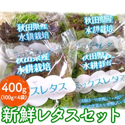 きれいな水で育てた新鮮レタスセット400g（100g×4袋 野菜 小分け） 