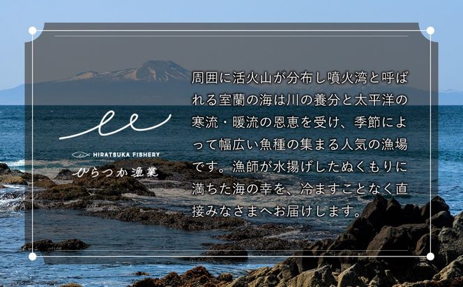 漁師が作った北海道シーフードカレー 5パック MROAL009