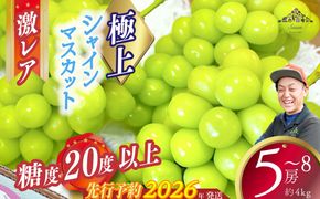 【2026年発送分 先行予約】激レア【糖度20度以上】極上シャインマスカット ４kg以上  フルーツ 山梨県産 果物 シャイン マスカット ぶどう ブドウ 大粒 種なし