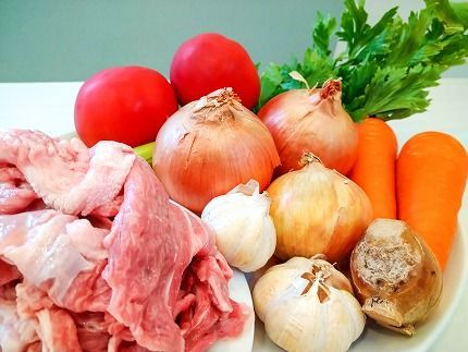 碧南DELIシリーズ お肉惣菜 無添加 とろける牛すじカレー 約800g(200g×4食) 洋食 カレー 国産 和牛 牛肉 中辛 野菜 煮込み　H080-066