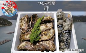 のぞみ 牡蠣  2026年 先行予約 ［絆]  殻付き 約30個（ 三年牡蠣 ） 剥き身 500g×2パック（ 一年牡蠣 ） ナイフ 、 簡単レシピ 付き 魚貝類 海のミルク 海鮮 貝 濃厚 産地直送 殻付き牡蠣 剥き牡蠣 