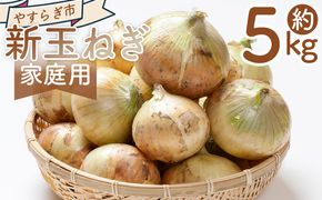 【先行予約】 新玉ねぎ ５ｋｇ 家庭用 yr-0122