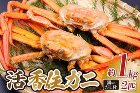 《先行予約》 兵庫県香住産 活 香住ガニ 約1kg×2匹 冷蔵  【令和9年2月以降発送予定】 香住漁港 新鮮 香住ガニ かに カニ 紅ズワイガニ 紅ずわいがに 紅 国産 鍋 かにすき 脚 足 爪 身 肩 ふるさと納税 おすすめ 返礼品 兵庫県 香美町 香住 宿院商店 33-34