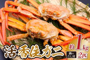 《先行予約》 兵庫県香住産 活 香住ガニ 約1kg×2匹 冷蔵  【令和9年2月以降発送予定】 香住漁港 新鮮 香住ガニ かに カニ 紅ズワイガニ 紅ずわいがに 紅 国産 鍋 かにすき 脚 足 爪 身 肩 ふるさと納税 おすすめ 返礼品 兵庫県 香美町 香住 宿院商店 33-34