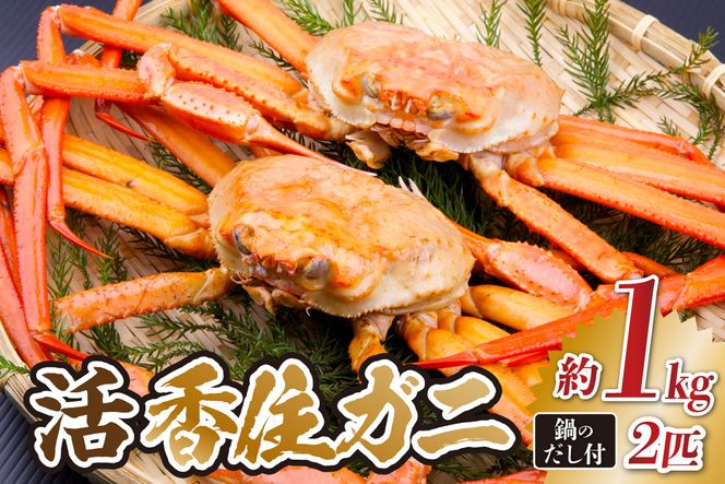 《先行予約》 兵庫県香住産 活 香住ガニ 約1kg×2匹 冷蔵  【令和9年2月以降発送予定】 香住漁港 新鮮 香住ガニ かに カニ 紅ズワイガニ 紅ずわいがに 紅 国産 鍋 かにすき 脚 足 爪 身 肩 ふるさと納税 おすすめ 返礼品 兵庫県 香美町 香住 宿院商店 33-34