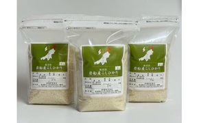 【令和7年産米】新潟県村上市岩船産 コシヒカリ6kg（2kg×3袋）1099004