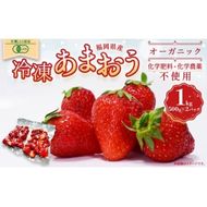 オーガニック冷凍あまおう 1kg (500g×2パック)【伊世いちご畑】_HA1315