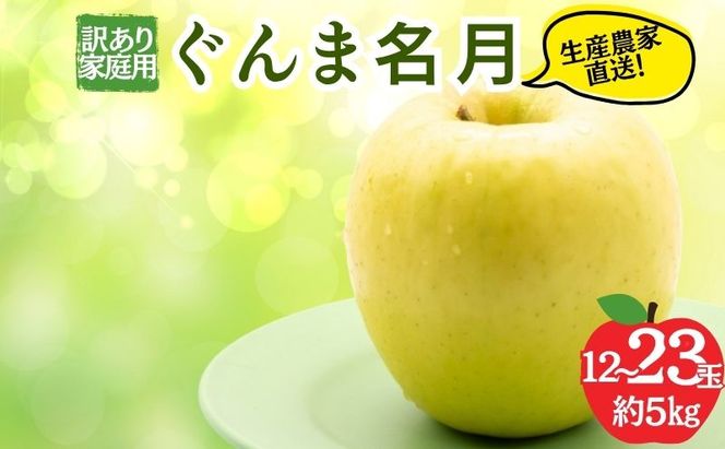 りんご 訳あり 家庭用 ぐんま名月 約 5kg (12～23玉) 黄色 不揃い 秋 2026年 11月発送