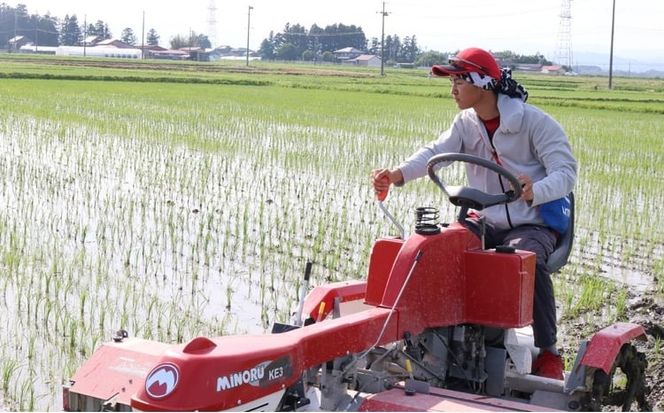 【新米予約】《 希少品種米 》 米 令和8年 宮城県産 ササシグレ ( 栽培期間中農薬・肥料不使用 ) 精米 白米 5kg ｜ 宮城県 加美町 無農薬 お米 こめ コメ ささしぐれ ササニシキ の 父 ｜ nt-ss05-r8 | nt-ss05-r8