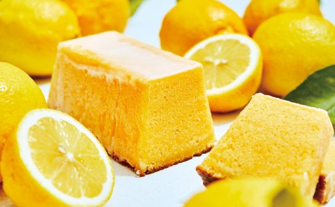 メゾンカカオ 夏季限定 MAISON CAKE レモン 1個 数量限定 冷凍配送 神奈川県茅ヶ崎市