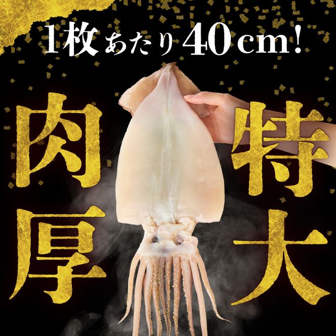 函館産 特大真いか 一夜干し 1枚 いか イカ 烏賊 特大 肉厚 干物 つまみ いか天 イカ天 冷凍 北海道 函館 はこだて_HD010-023