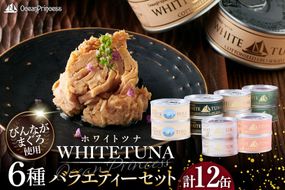OceanPrincess WHITETUNA バラエティー 12缶 セット [モンマルシェ 宮城県 気仙沼市 20565064] 缶詰 ツナ缶 ツナ 缶詰め かんづめ 熟成 マグロ 簡単調理 高級 保存食 常備 常温 詰め合わせ オーシャンプリンセス
