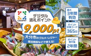 【P01091】LOCOPAYデジタルポイント【9,000ポイント】