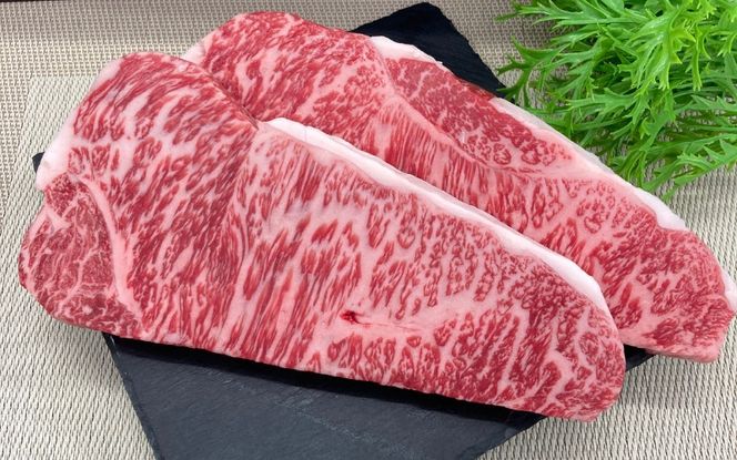 【月3×6回　計18回発送】肉の横綱　伊賀牛まるごと食べ尽くし cook-tkb0004