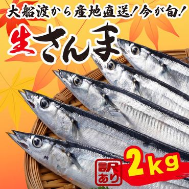 訳あり さんま 2kg 冷蔵 鮮秋刀魚 発送期日2024年9月下旬～2024年11月下旬 三陸 岩手 大船渡市 サンマ 秋刀魚 [kama013_202408]