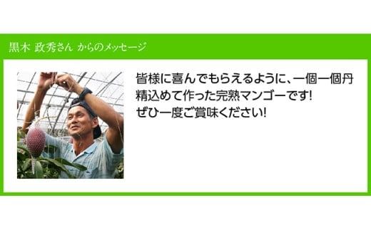 【令和7年発送】宮崎県産完熟マンゴー「おひさまハニーマンゴー」3L×2玉 【 果物 フルーツ マンゴー 国産 宮崎県産 完熟マンゴー みやざきマンゴー 先行予約 数量限定 期間限定 】☆[D03302]