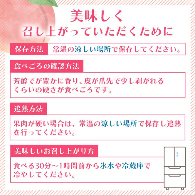 桃 2026年 先行予約 ご家庭用 白桃（晩生種）5～6玉 合計約1.5kg もも モモ 岡山県産 国産 フルーツ 果物 ギフト