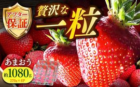 【1月より順次発送】農家直送 朝採り新鮮いちご【博多あまおう】約270g×4パック《築上町》【株式会社H&Futures】[ABDG002]