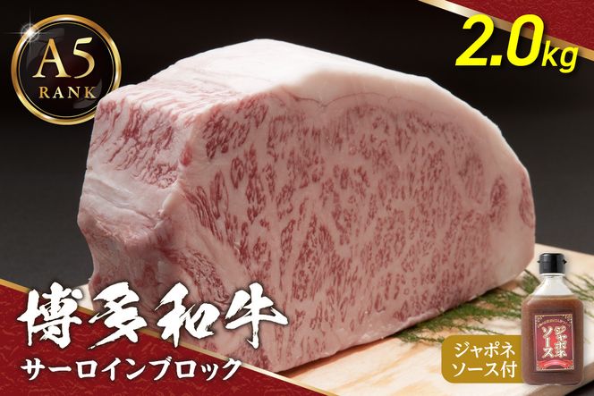 �y�������@���s�z�yA5�����N�z�����a���T�[���C���u���b�N2.0kg(1.0kg×2)�i�ެ��ȿ���t�j�y�ɓ��ۏ��X�z_HA0206
