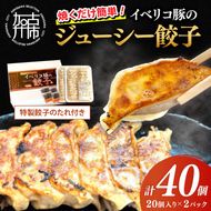 大西食品「イベリコ豚のジューシー餃子」《 ギョーザ 焼くだけ 簡単 イベリコ豚 ベジョータ 兵庫県 加古川市 》【2401I15301】